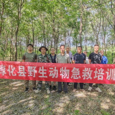 淳化县野生动物救助站开展野生动物救助专项培训
