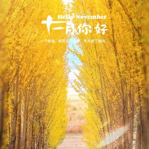 🌿十一月·秋色已暮 初冬将至