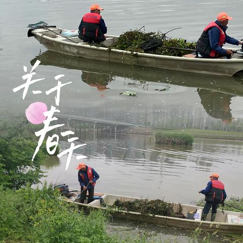 打捞河道垃圾，“护航亚运”河湖水域——三江街道“治水”在行动