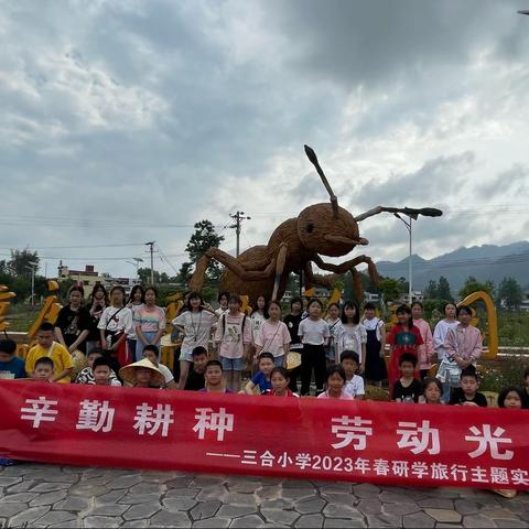 重庆璧山三合小学隆平五彩田园五年级研学旅行一日游