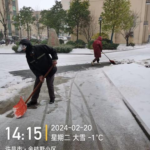 风雪中的逆行者