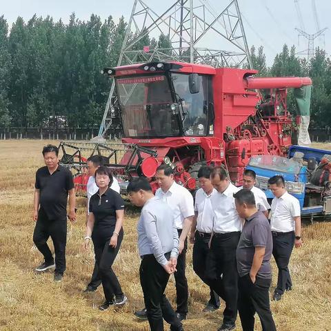 长安区委书记调研三夏工作