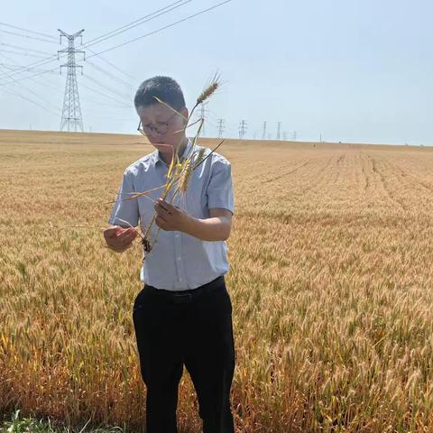 助力“三夏”生产 守护丰收希望