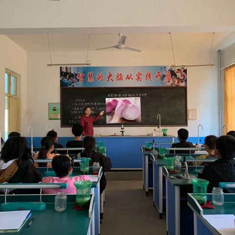 【关爱学生幸福成长】古城营镇中心校 科学实验一《用显微镜观察身边的生命世界一》