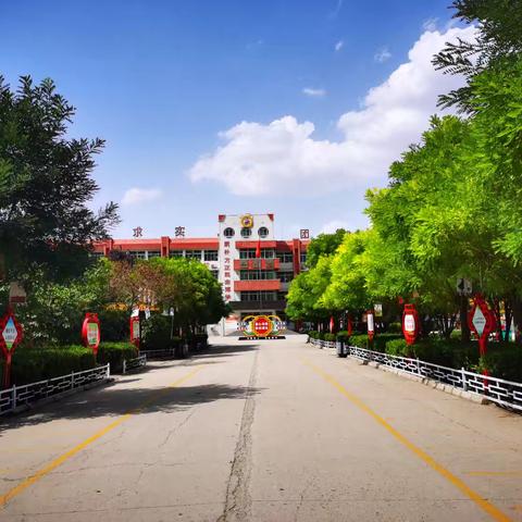 撷一抹诗意 寻一路花开  ——临西县第二小学教师暑期培训