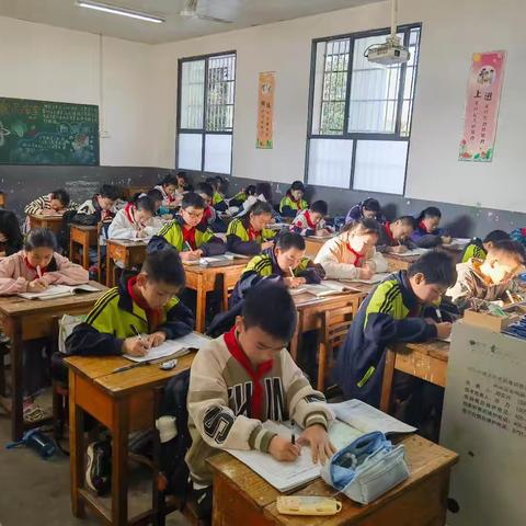 墨香萦绕，书写经典——金阳北园小学硬笔书法比赛