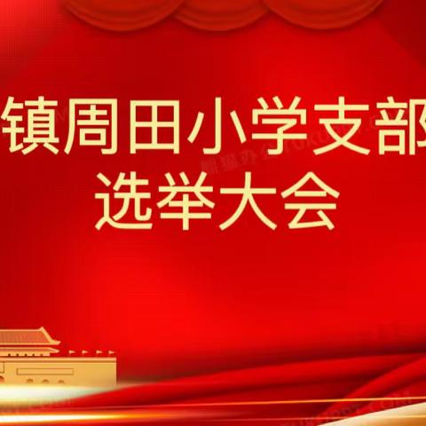 凝心聚力强党建 砥砺前行新发展——桐木镇周田小学党支部选举大会