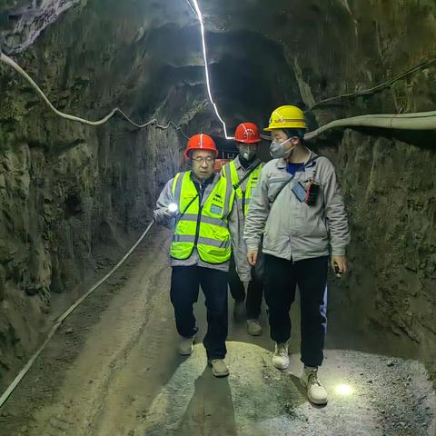 国家矿山安全监察局陕西局深入山阳县开展非煤矿山领域复工复产专项监察检查