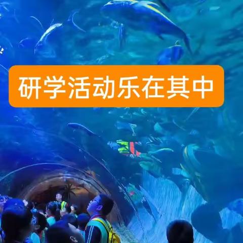 探寻海洋奥秘，品味丝路文化——记西关第一小学六年级一班研学旅行活动