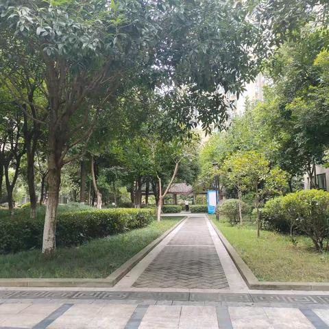 重庆市南川区元凯物业管理有限责任公司泽恺德馨2025年8月份月报