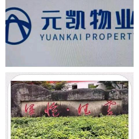 重庆市南川区元凯物业管理有限责任公司泽恺德馨2025年10月份月报