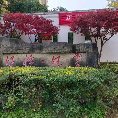重庆市南川区元凯物业管理有限责任公司泽恺德馨2025年11月份月报