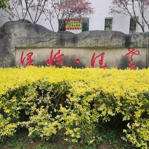 重庆市南川区元凯物业管理有限责任公司泽恺德馨2026年3月份月报