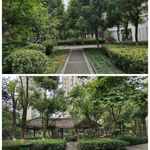 重庆市南川区元凯物业管理有限责任公司泽恺德馨2026年5月份月报