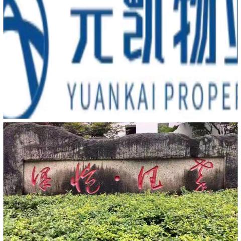 重庆市南川区元凯物业管理有限责任公司泽恺德馨2026年6月份月报