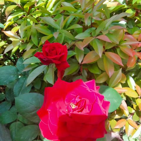 2024年春期教师培训    心得体会