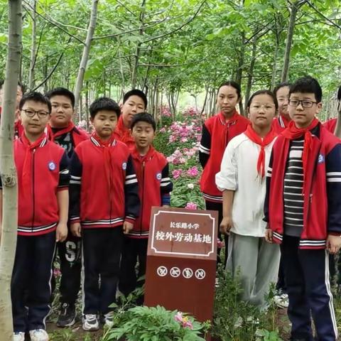 [清廉学校建设]植根半亩花田 朝向幸福生长 ——长乐路小学校外劳动基地实践活动