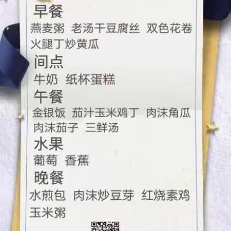 盛京幼儿园——6月27日托班教学活动