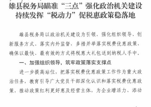 雄县税务局瞄准“三点”强化政治机关建设  持续发挥“税动力”促税惠政策稳落地 相关工作获区局领导肯定性批示