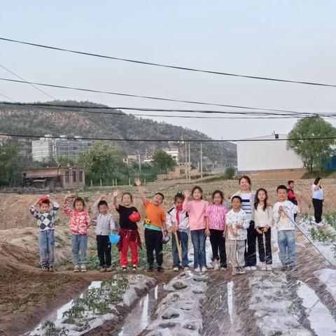 走进耕读农场，劳动伴我成长 ——子长市秀延小学二年级(4)班种植活动纪实