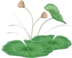 端午粽飘香 节日送健康