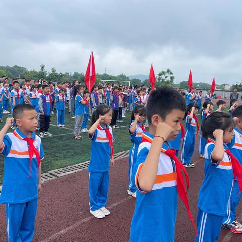 金山镇普化小学“红领巾爱祖国” ——新队员入队仪式