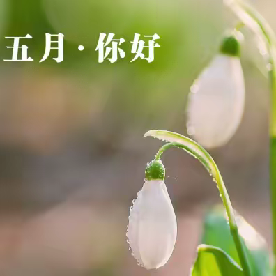 【鹏辉物业】——芙蓉商务中心项目2023年5月份工作简报