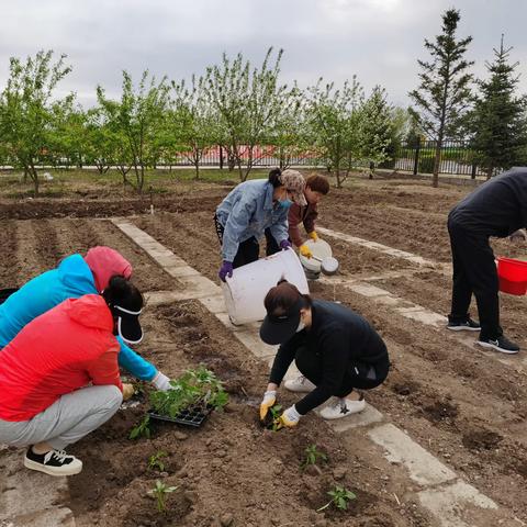 春暖花开，“蔬”香为伴︱中和养护工区：“职工小菜园”增强职工幸福感