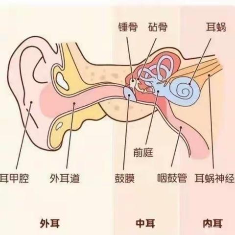 爱耳护耳·花开有声