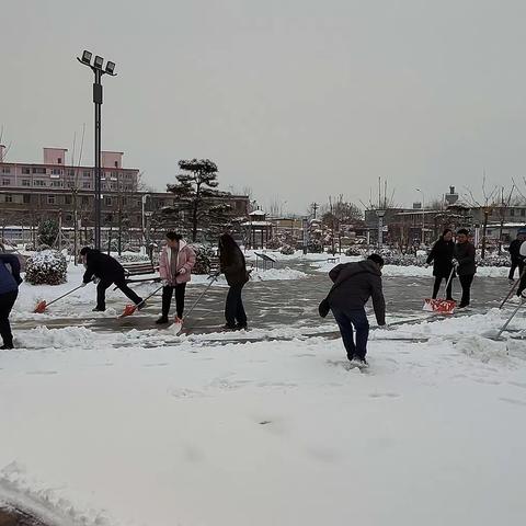 扫雪除冰暖人心 志愿服务展风采