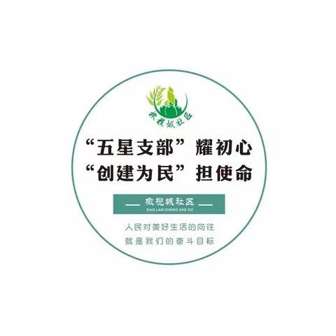 明确责任强化落实  推进主题教育工作 ——橄榄城社区党委召开10月份主题党日活动