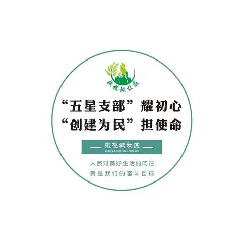 深刻领会全会精神、争当学习实践表率——橄榄城社区党委召开9月份主题党日活动