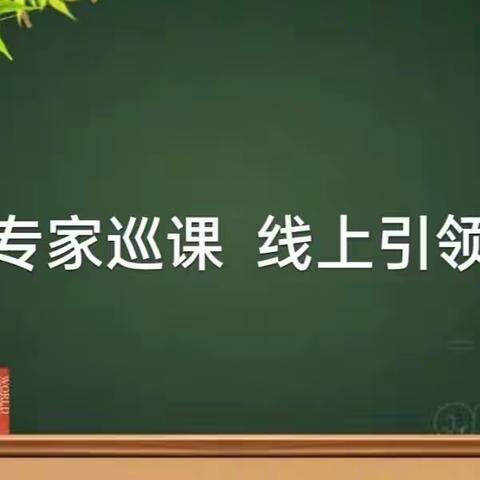 线上教学共成长，云端巡课护远航-------双城区进修校小教部教研员深入公正小学线上巡课