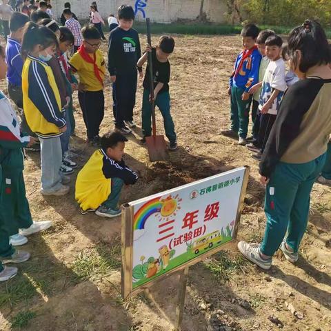 播下种子 收获快乐——石佛昝明德小学劳动教育之实验田种植