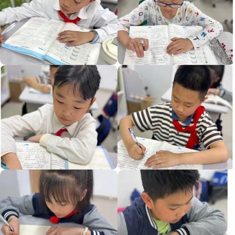 4年5班一周反馈