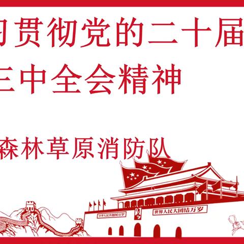 深学细悟、笃行实干——学习贯彻党的二十届三中全会精神