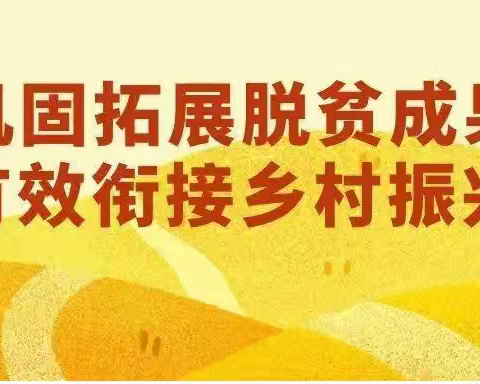 入户走访脱贫户,真情帮扶暖人心!