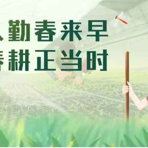 早稻育秧播种忙
