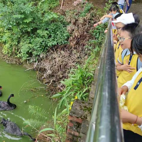 松花江小学3.1班“弘扬传统文化，走进非遗课堂”研学活动