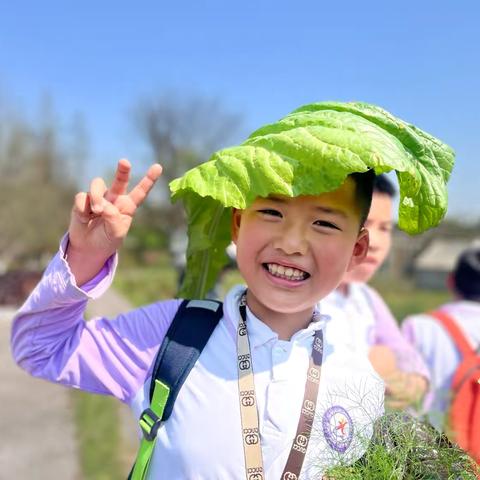 清华小学三年级六班“科技赋能农业·创新引领报国”主题研学实践活动
