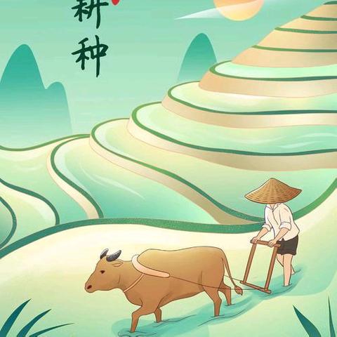 春满田间育秧忙，不负好时光