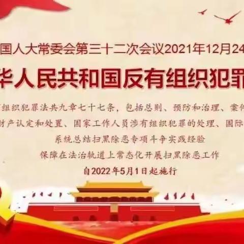 袁寨学校《反有组织犯罪法》宣传教育活动