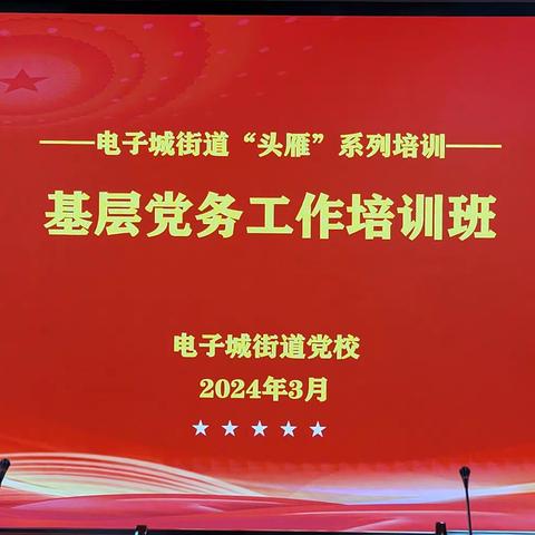 “头雁”培训强根基  聚焦短板促提升——电子城街道举办“头雁”系列培训之基层党务工作培训班