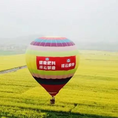 《种植前线》——祥云助力 金色油菜花样致富