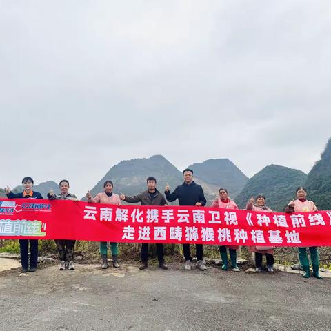 《种植前线》甜“猕”产业“丰”景美，云南解化以“迷彩力量”照亮石漠振兴路
