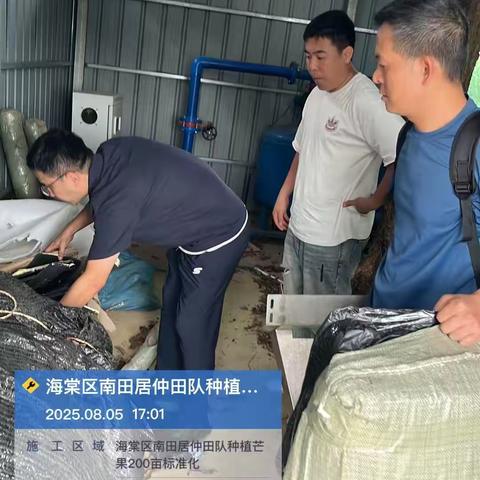 2025年海棠区南田居仲田队种植芒果200亩标准化基地建设及溯源产业项目种植培训技术活动
