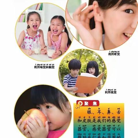 我用感官去发现——正阳幼儿园苗苗班