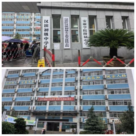 赓续育人薪火，探寻语文新径