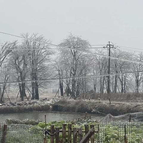 向家桥分校对学生家长的提示(防范低温雨雪冰冻天气灾害)