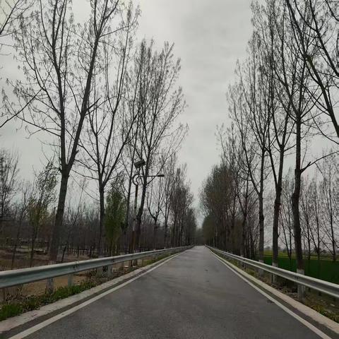 北皋镇严格落实河长日常工作